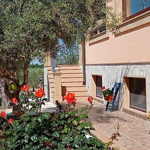 Il Poggetto Marzamemi B&B